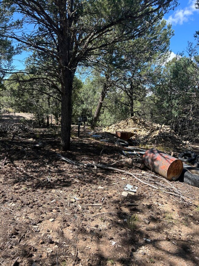 20 Millionaire Cir, Cedro, NM 87059 - photo 4