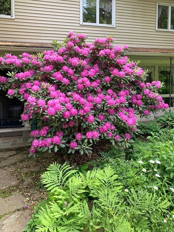 87 Off Ruggles St, Hardwick, MA 01331 - photo 5