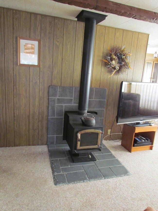 Woodstove