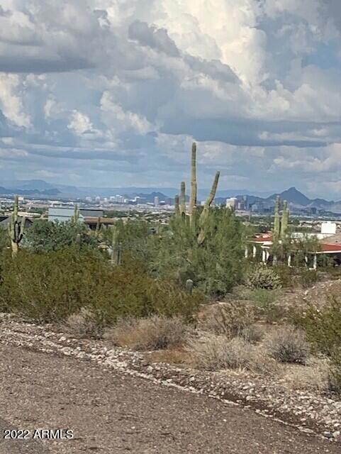 Laveen 5