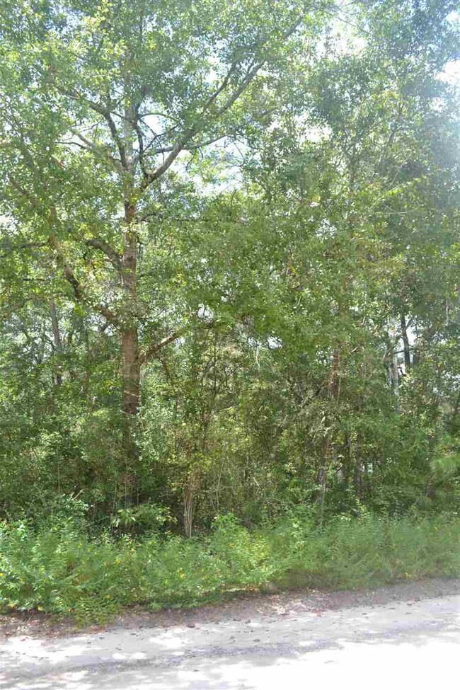 0 Stanley Dr unit 1 285444, Crawfordville, FL 32327 - photo 2