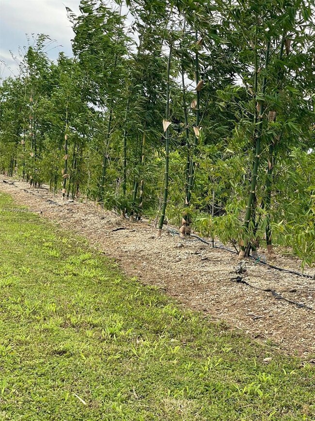 340XXX SW 217th Ave, Flamingo, FL 33034 - photo 4