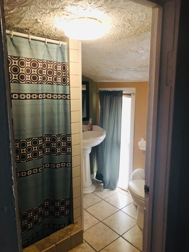 288 Franklin Blvd, Elgin, IL 60120 - photo 6