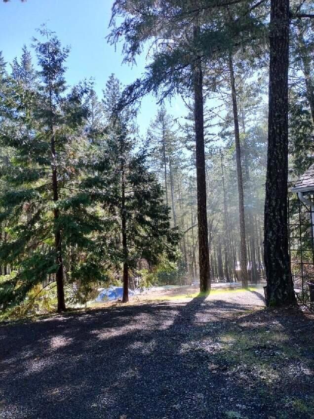 drive grounds