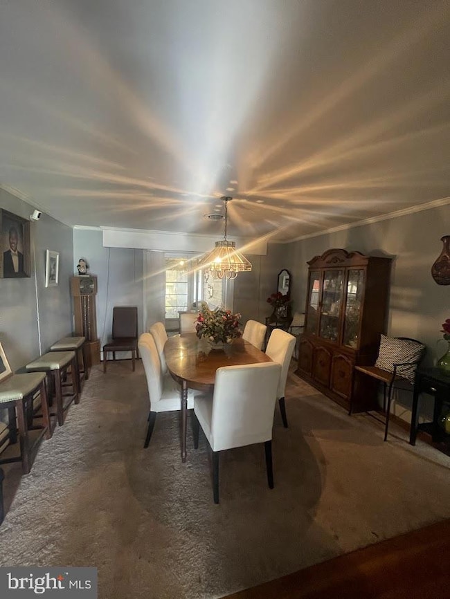 217 Gumboro Rd, Selbyville, DE 19975 - photo 3