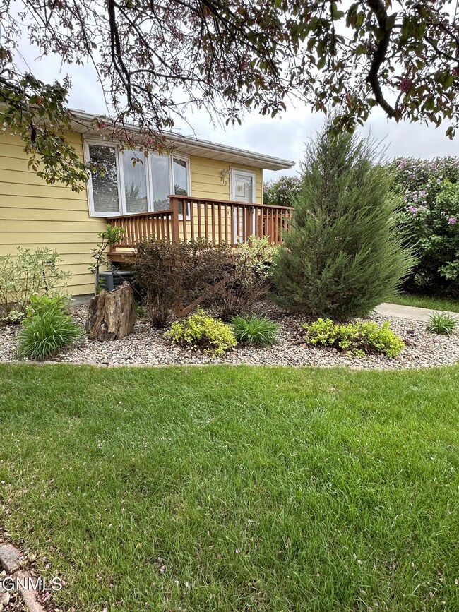 Many Perennials in Front Yard