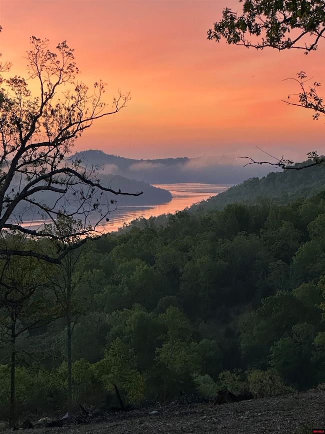 001-03317-000 Black Jack Trail, Mountain Home, AR 72653 - photo 2