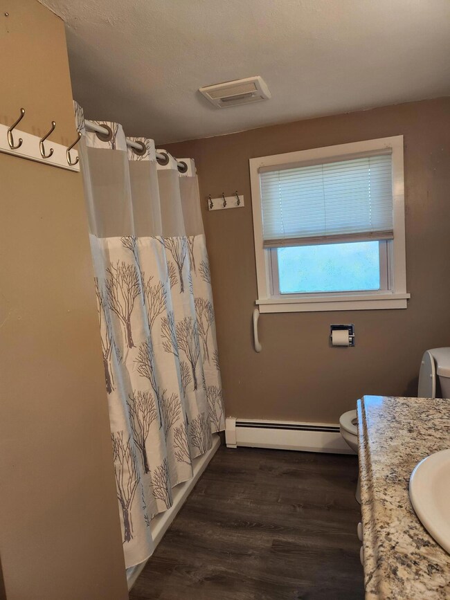 1 Smith Ave, Steep Falls, ME 04085 - photo 4