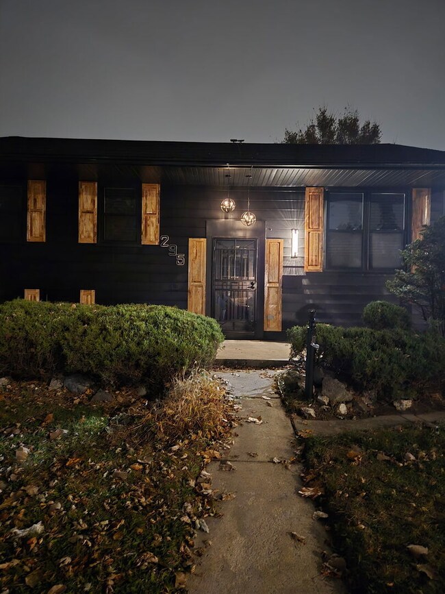 295 Chappel Ave, Calumet City, IL 60409 - photo 4