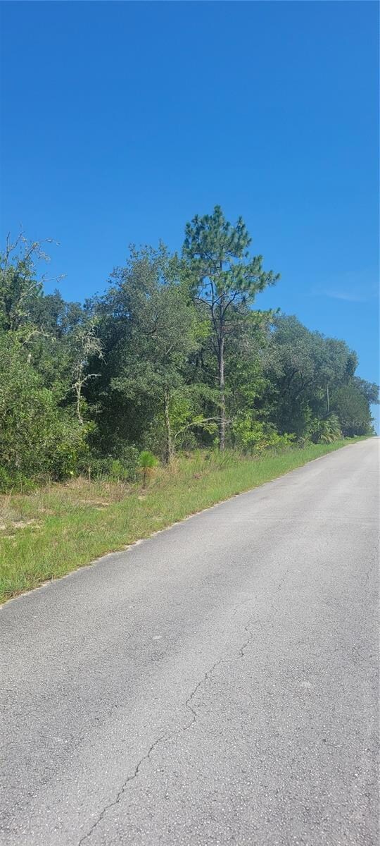 0 SW Big Bear Ridge unit MFROM707358, Dunnellon, FL 34432 - photo 3