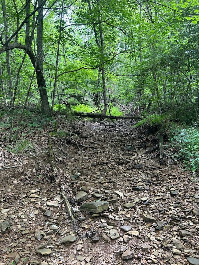 0 van Crabtree Road Lot unit Wp001, Lucasville, OH 45648 - photo 7