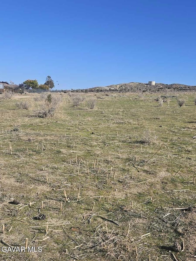 111 Ste Drt Vic V14 Ste, Pearblossom, CA 93553 - photo 4