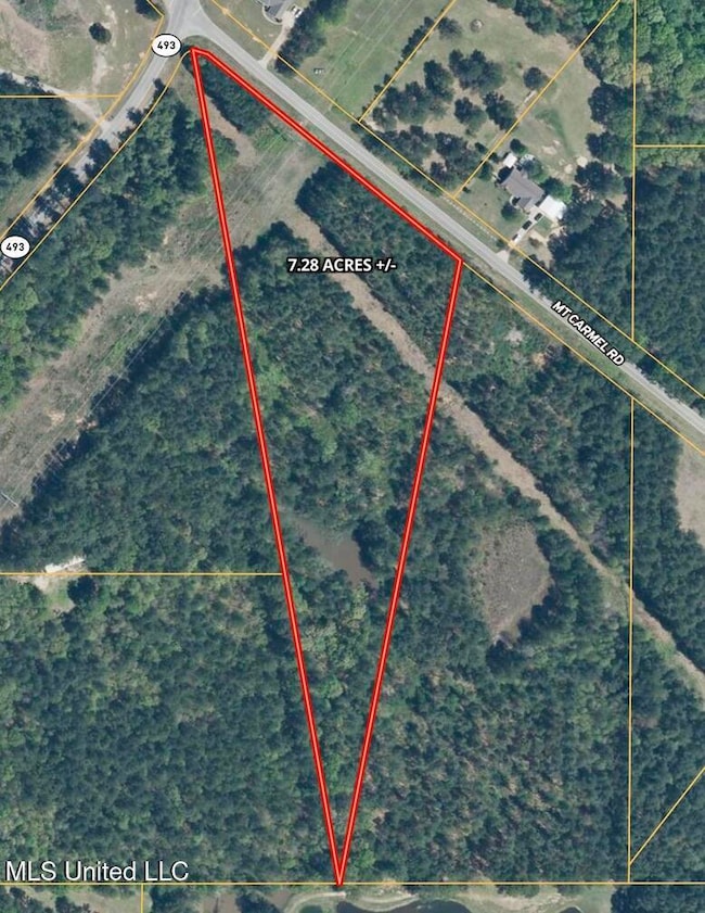 0010 Mount Carmel Rd, Bailey, MS 39320 - photo 3