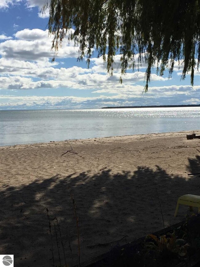 3898 E Michigan Ave, Au Gres, MI 48703 - photo 3