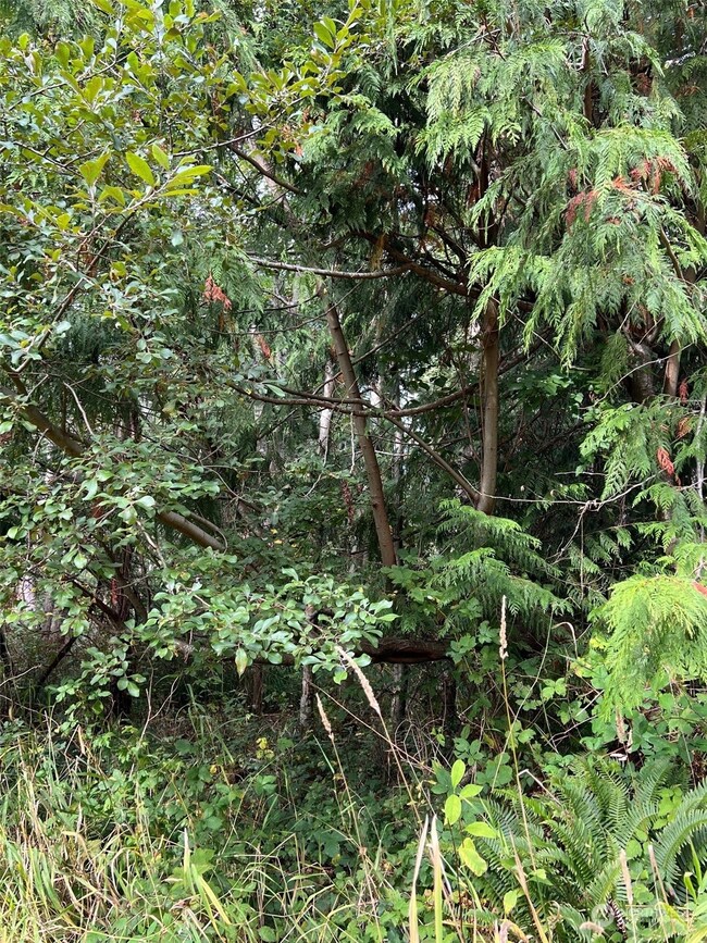 0 Lot 24 Georgia Ct, Point Roberts, WA 98281 - photo 2