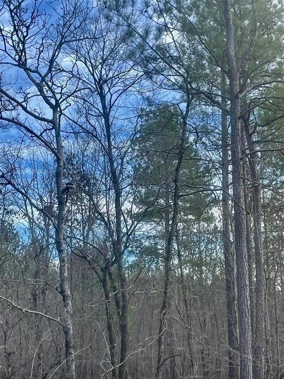 View of mother earth's splendor