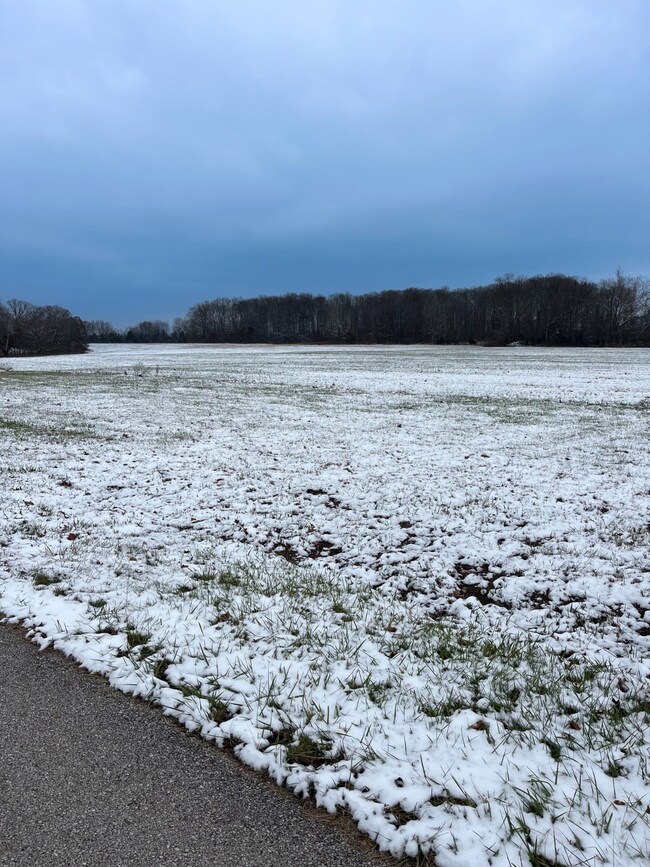 0 Saint Andrews Place, Tollesboro, KY 41189 - photo 5