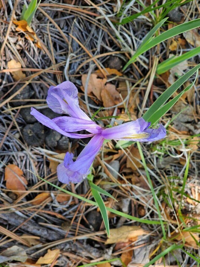 0 Alpine Meadows Dr unit F42 23-677, Trinidad, CO 81082 - photo 7