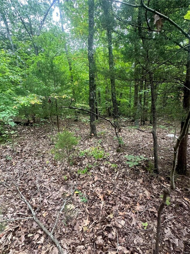 0 10 Acres State Hwy E, Cadet, MO 63630 - photo 3