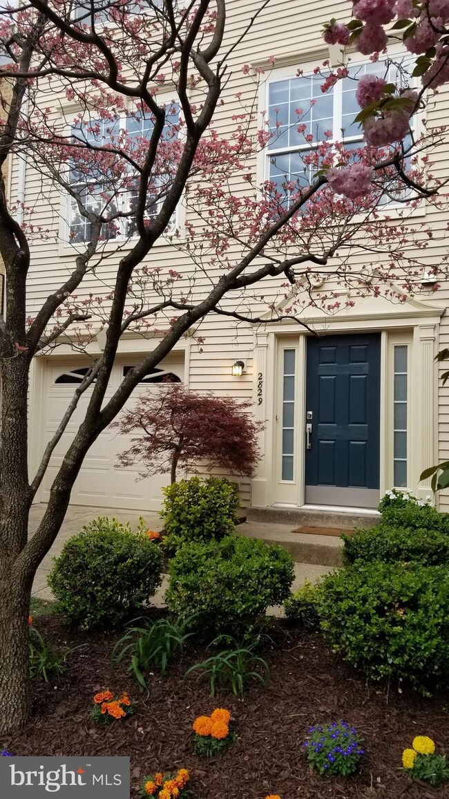 2829 Roesh Way, Vienna, VA 22181 - photo 3