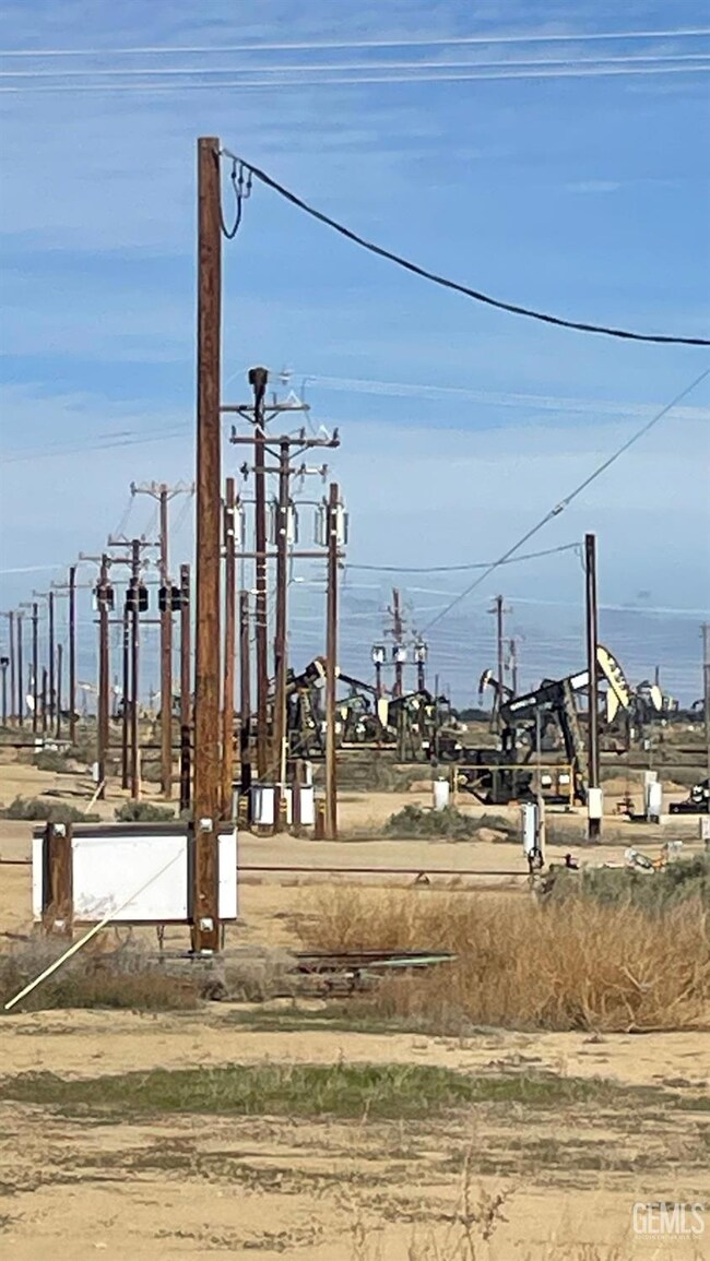 0 Waterflood Rd unit 202502197, Lost Hills, CA 93249 - photo 4