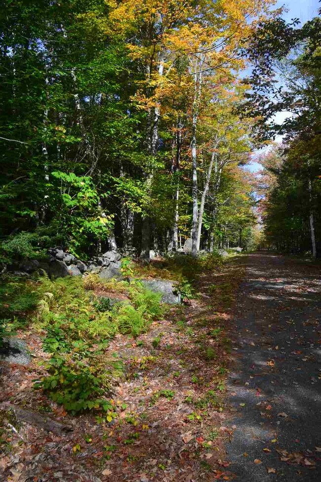 10 Dodge Hill Rd, Windsor, NH 03244 - photo 6