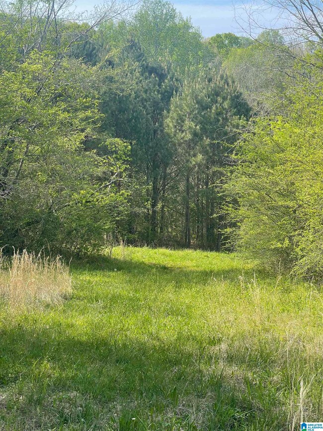 1931 Red Valley Rd, Remlap, AL 35133 - photo 7