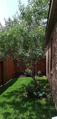 30914 W Lost Creek Blvd, Magnolia, TX 77355 - photo 6