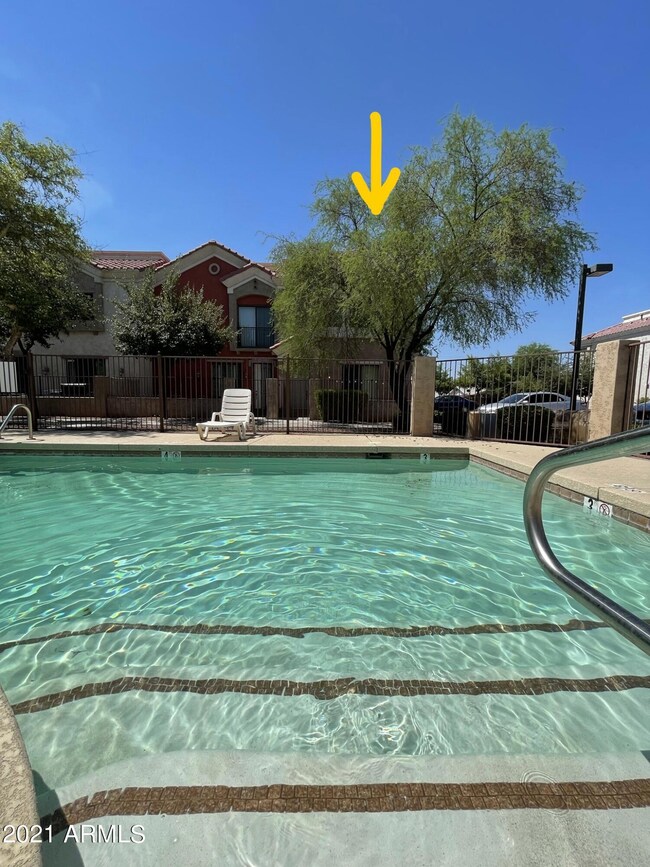 1950 N Center St unit 106, Mesa, AZ 85201 - photo 4