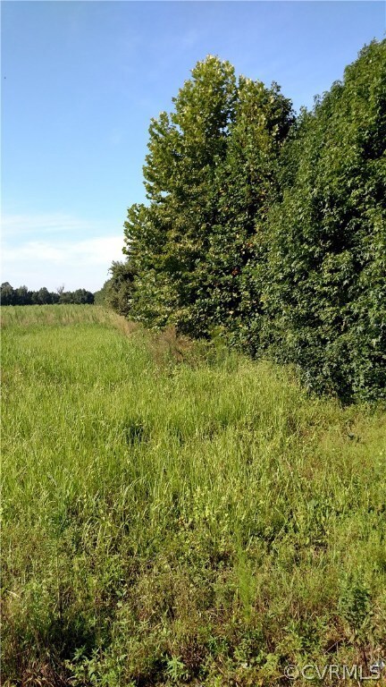 004 Holdsworth Rd, Prince George, VA 23842 - photo 5