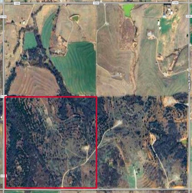 0 unit 1200887, Chickasha, OK 73018 - photo 4