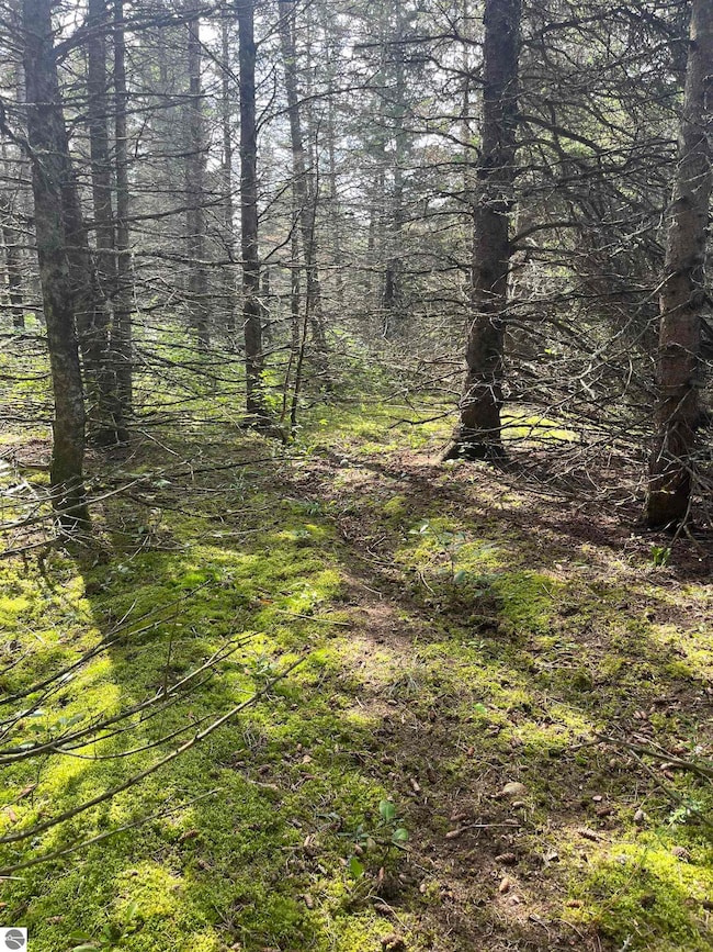 0 Maple City Hwy unit B, Lake Ann, MI 49650 - photo 3