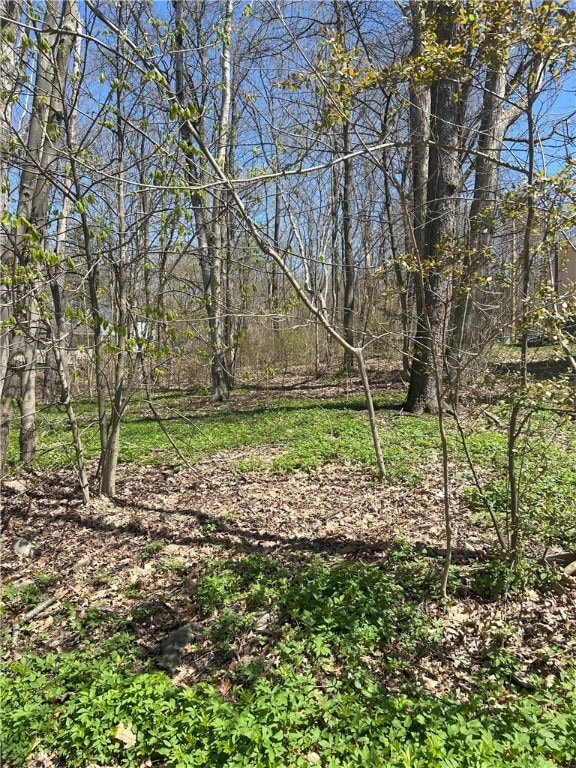 0 Janes Rd, Castile, NY 14530 - photo 5