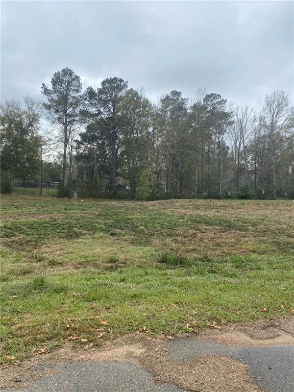 Lot 8 Carriage Ln, Franklinton, LA 70438 - photo 3