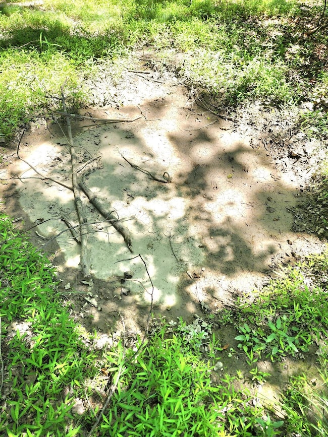 8 Oak Dr, Penn Forest Township, PA 18229 - photo 4