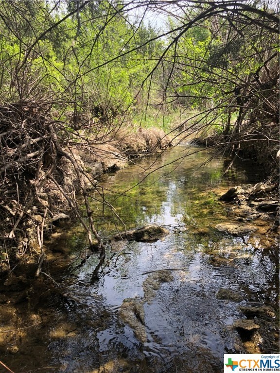 1259 Marissa Dr, Copperas Cove, TX 76522 - photo 2