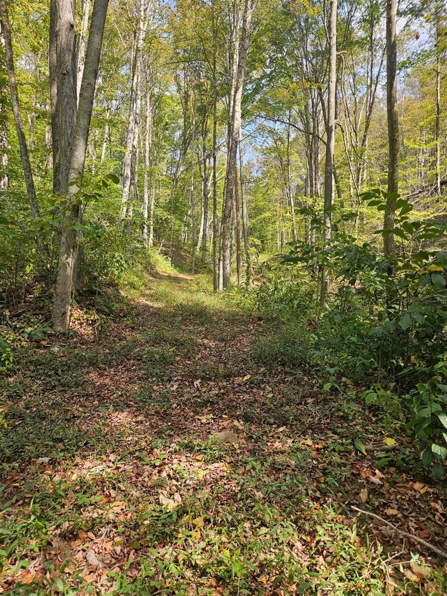 28661 Williams Farm Rd, Lower Salem, OH 45745 - photo 6