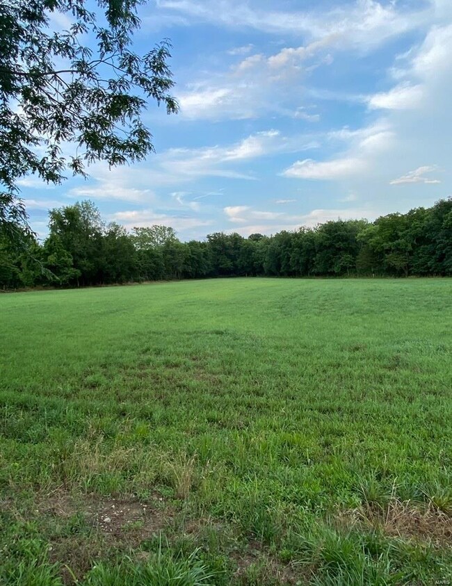 1580 Stacy Ln, Robertsville, MO 63072 - photo 5