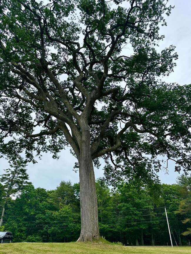 357 Holmes Rd, Pine Point, ME 04074 - photo 6