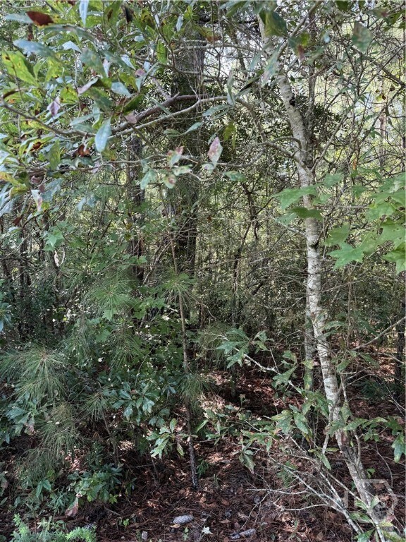 0 Best Bridge Rd unit SA336787, Sylvania, GA 30467 - photo 5