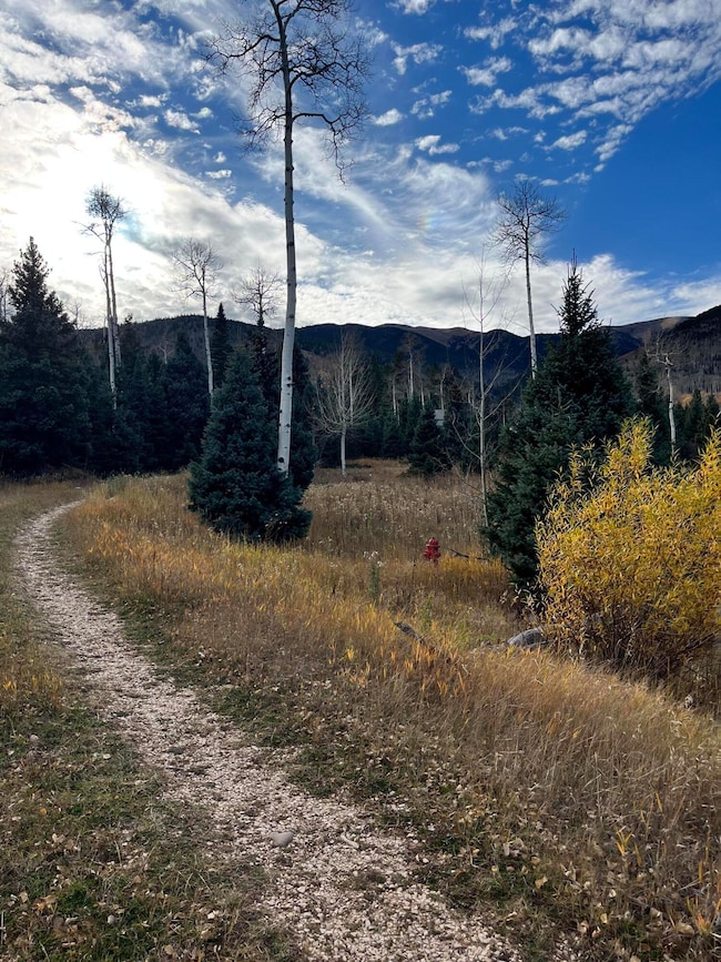 0 Panadero Ave unit 19, Cuchara, CO 81055 - photo 4