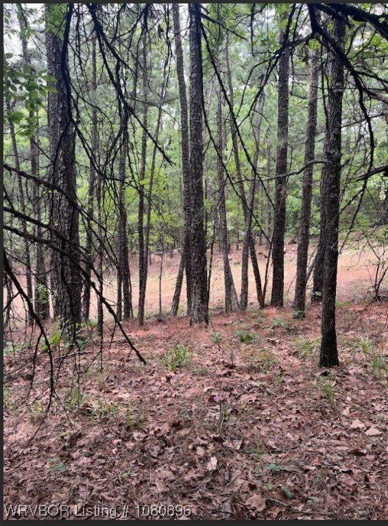 TBD Rural Latimer County, Red Oak, OK 74563 - photo 6