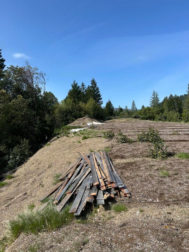 0 Redwood Hwy unit 220212110, O'Brien, OR 97534 - photo 3