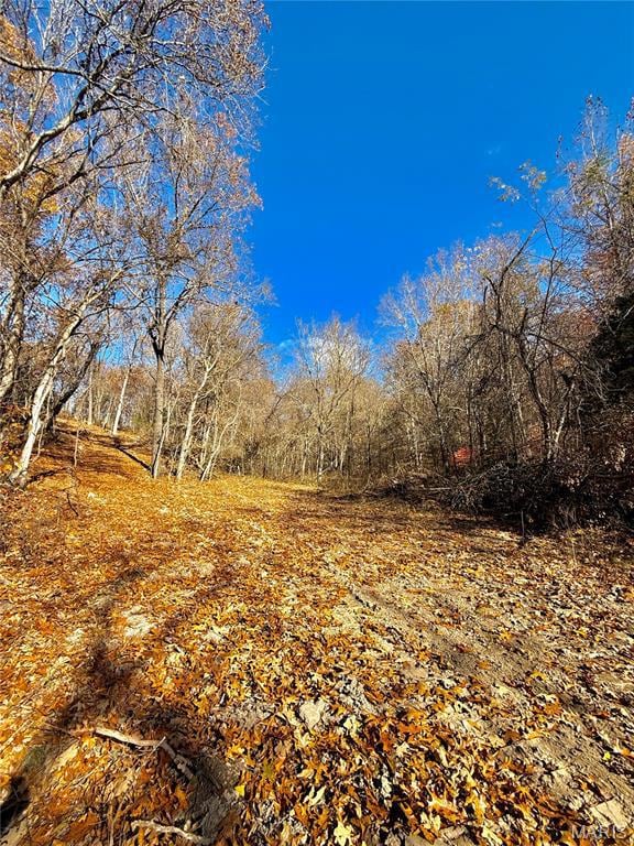 View of undeveloped land