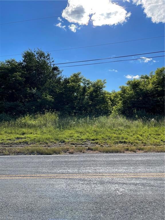 0 Annesley Rd, Calcutta, OH 43920 - photo 3