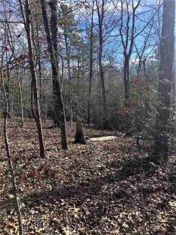 Lay Mill Rd Cowan Prop, Walhalla, SC 29691 - photo 3