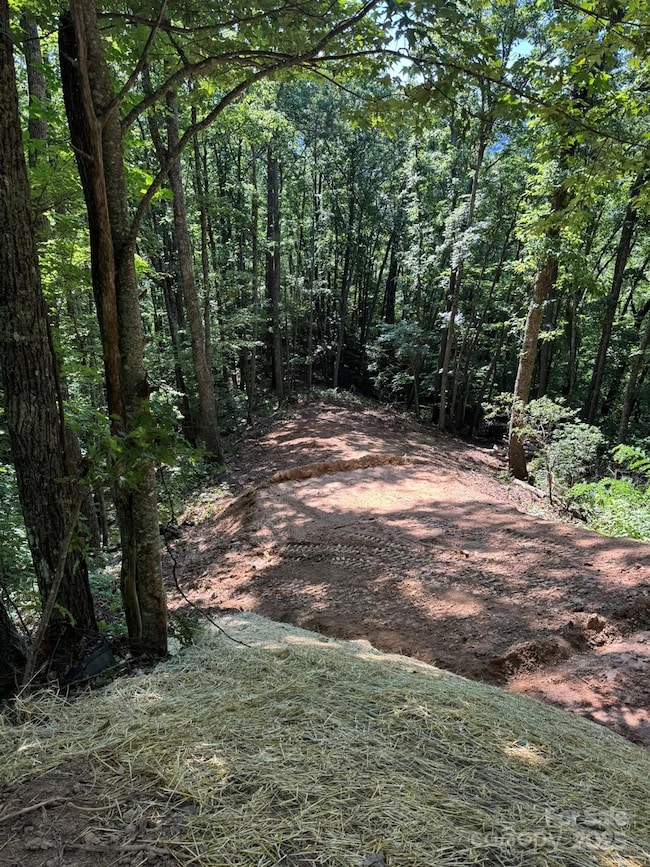 97 Hosta Dr, Sylva, NC 28779 - photo 2