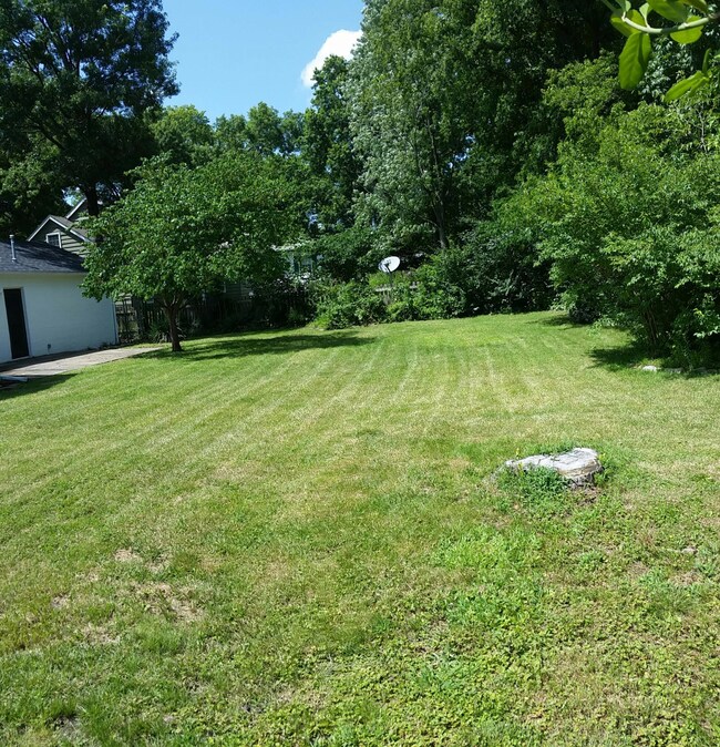 Back yard