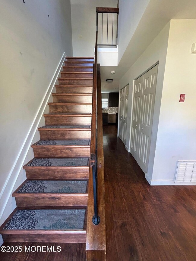 IMG_0026entry straircsae