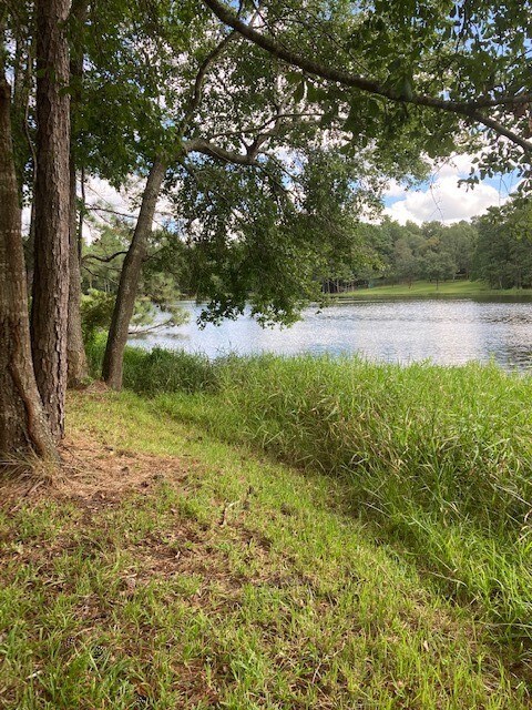 2534 Blue Lake Dr, Magnolia, TX 77354 - photo 2